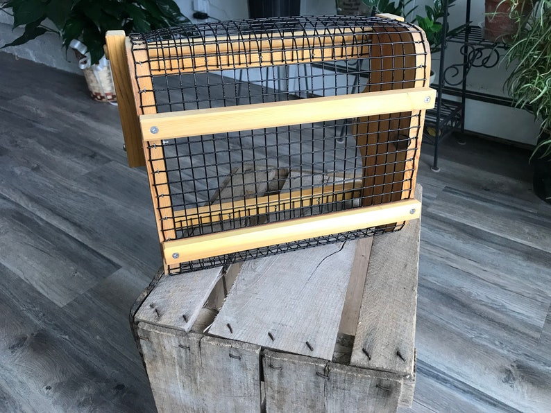 Small Light Weight Cedar Garden Basket